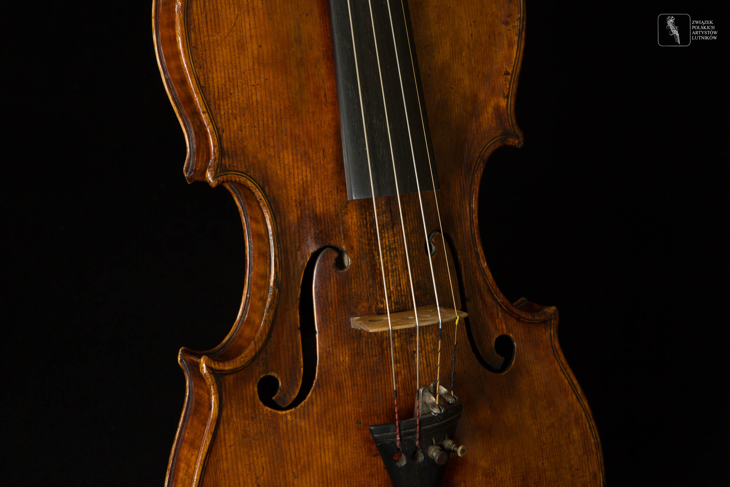 montering Nogen hylde The Violin in Polish Collections